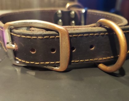 ADITYNA Heavy Duty Leather Dog Collar