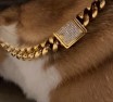 Aiyidi Dog Chain Collar