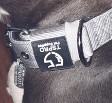 TSPRO Tactical Dog Collar