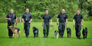 are police dogs trained with shock collars
