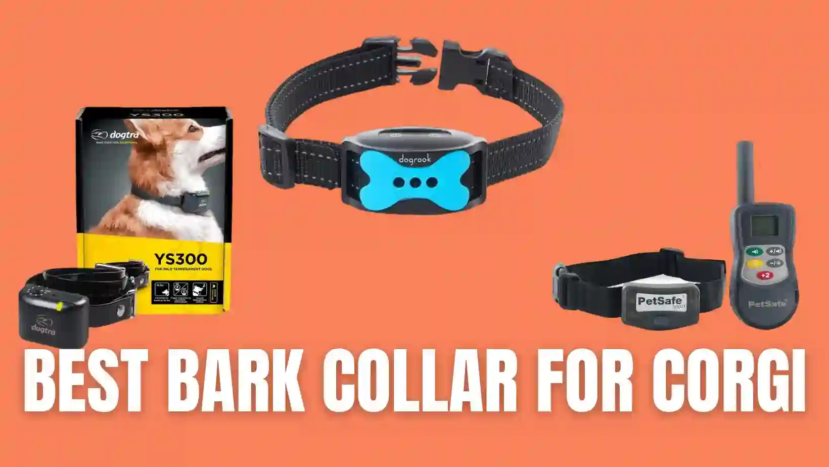 Best Bark Collar for Corgi