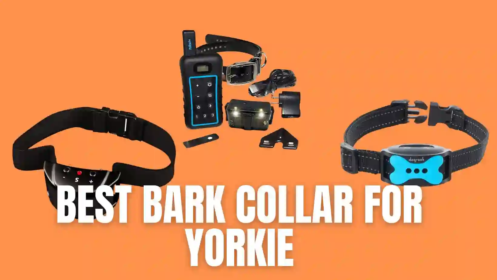 Best Bark Collar for Yorkie