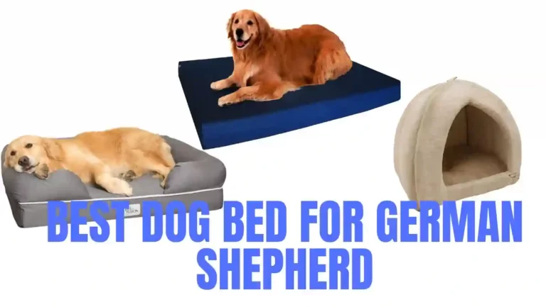 10 Best dog bed for german shepherds reviewed for 2023