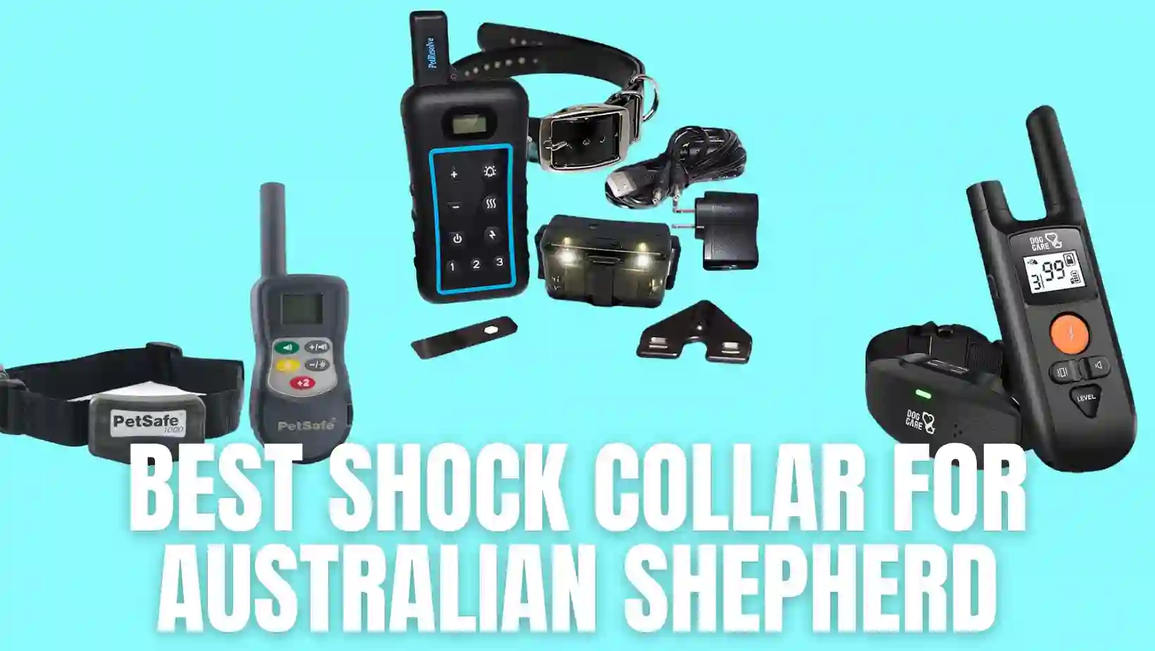 Best Shock Collar For Australian Shepherd
