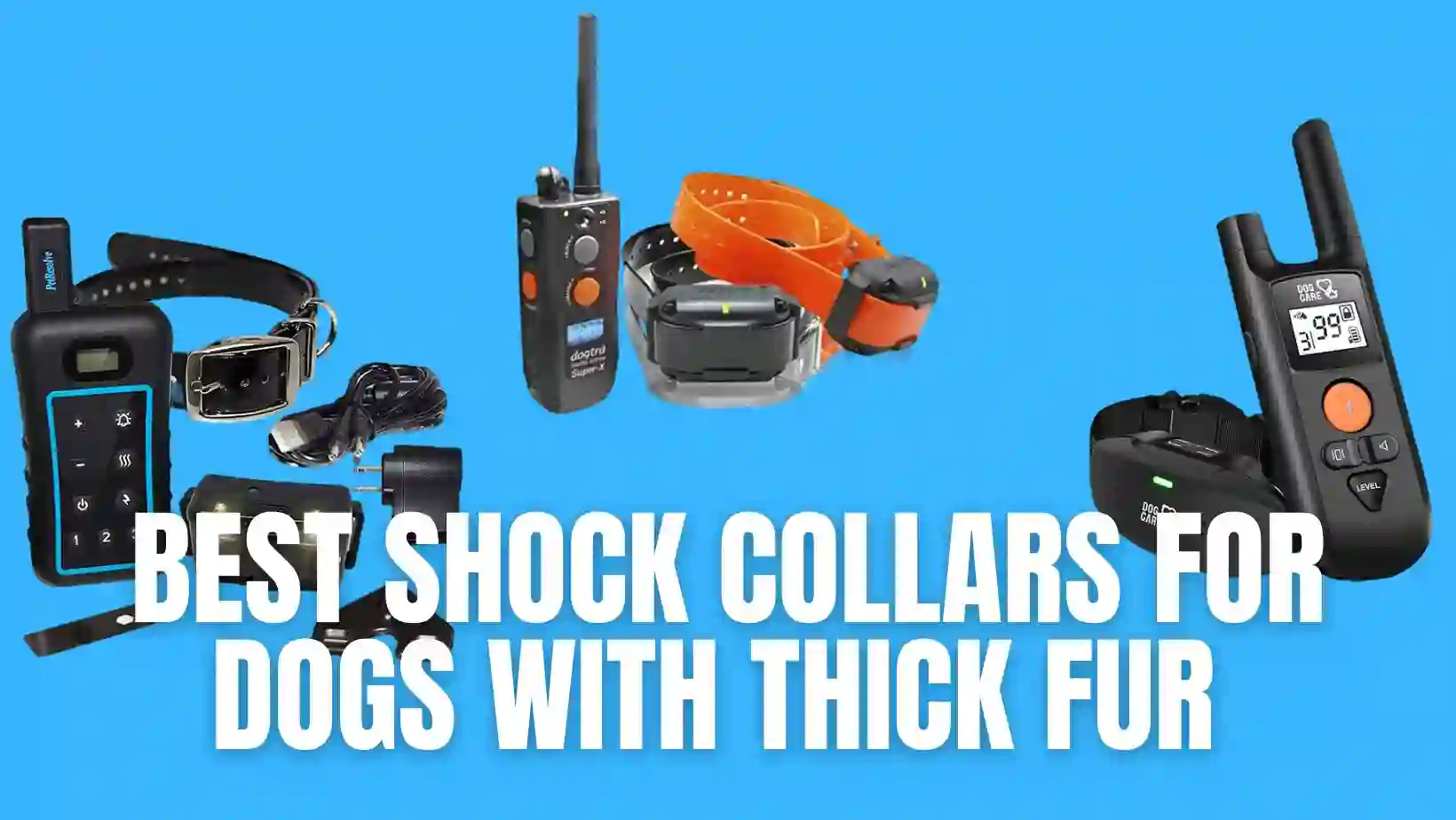 Best Shock Collars for Dogs with Thick Fur