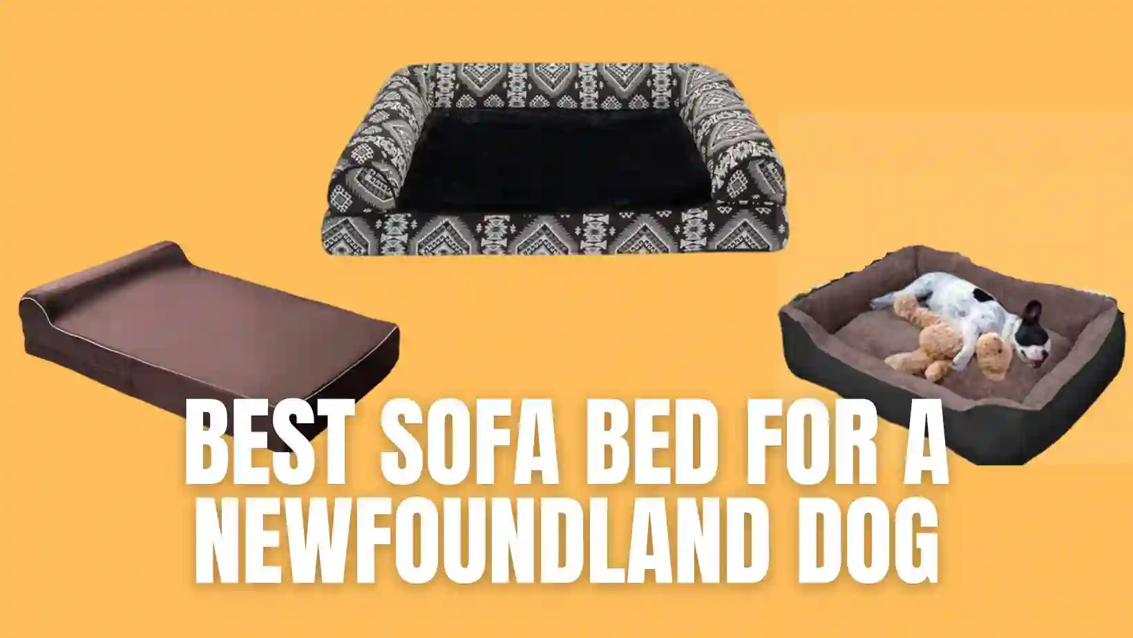 Best Sofa Bed for a Newfoundland Dog