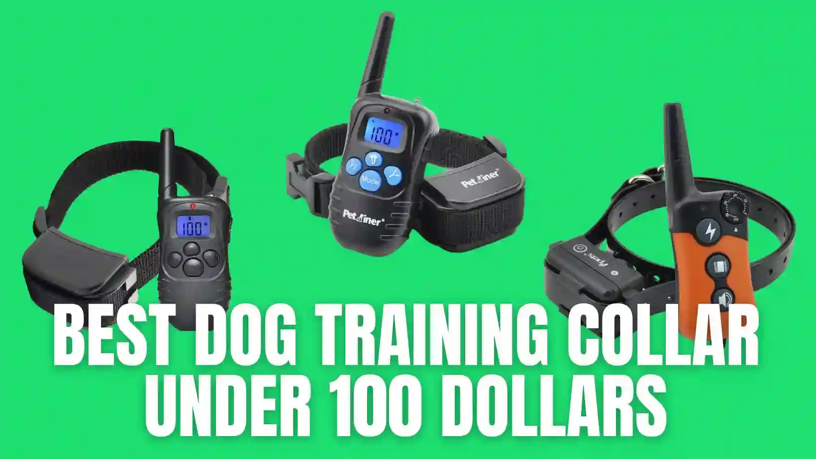 Best Dog Training Collar Under 100 Dollars