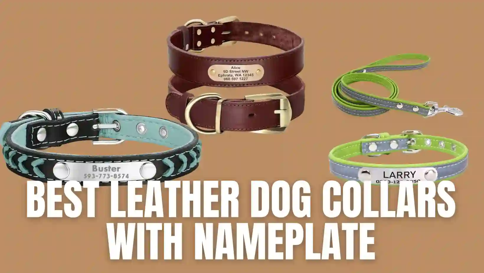 Best Leather Dog Collars with Nameplate