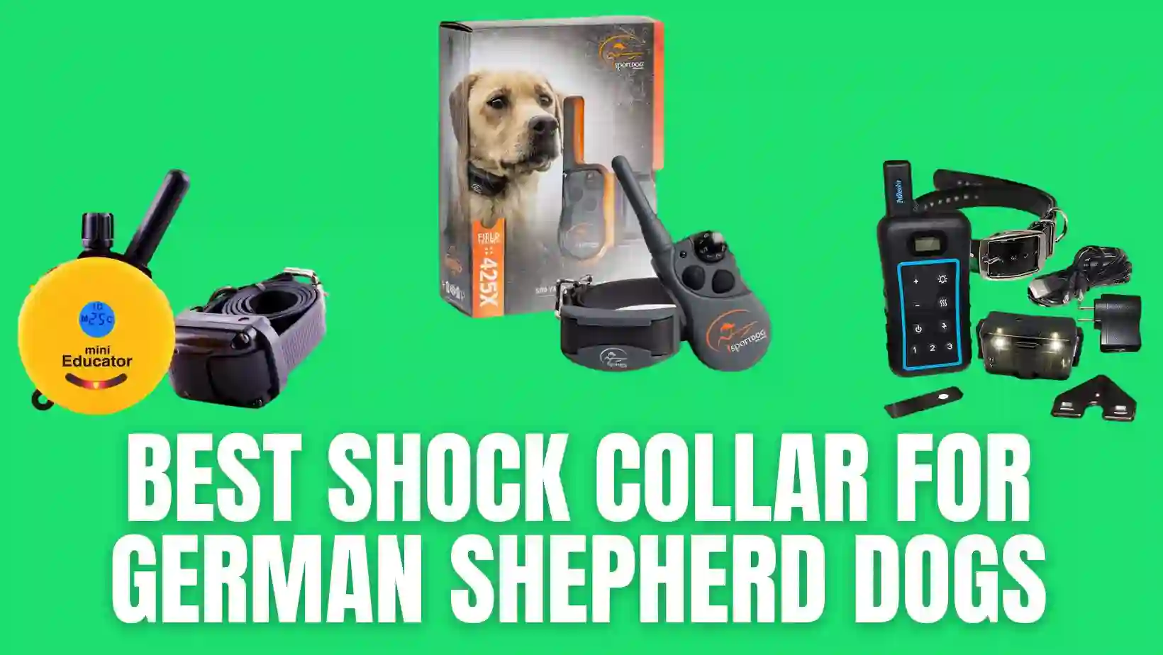Best Shock Collar for German Shepherd Dog