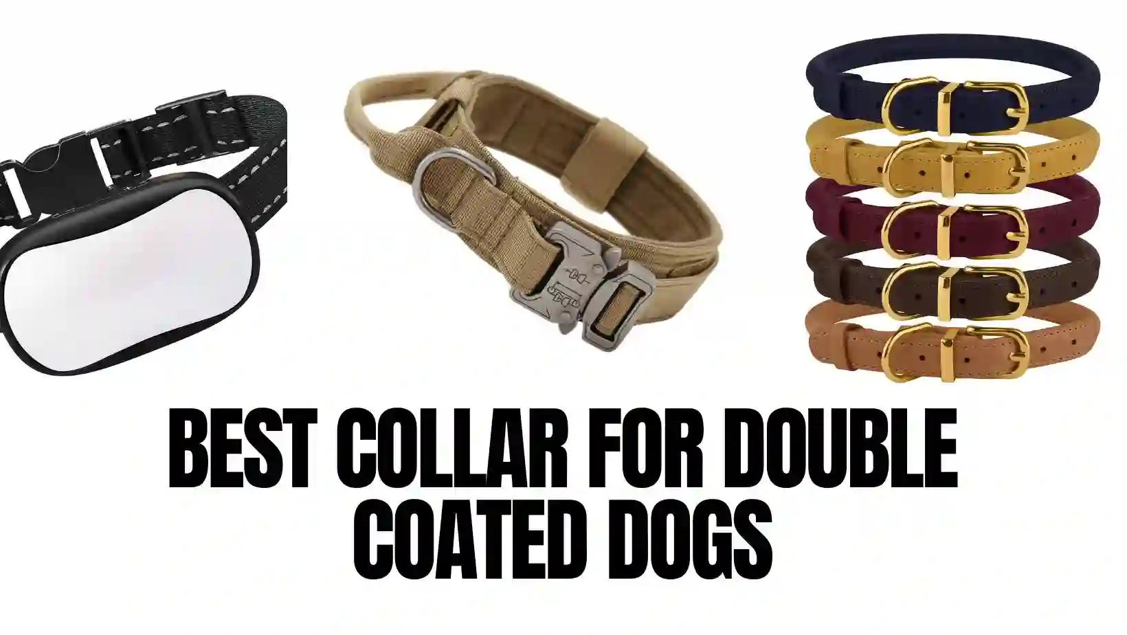 Best Collar for Double Coated Dogs