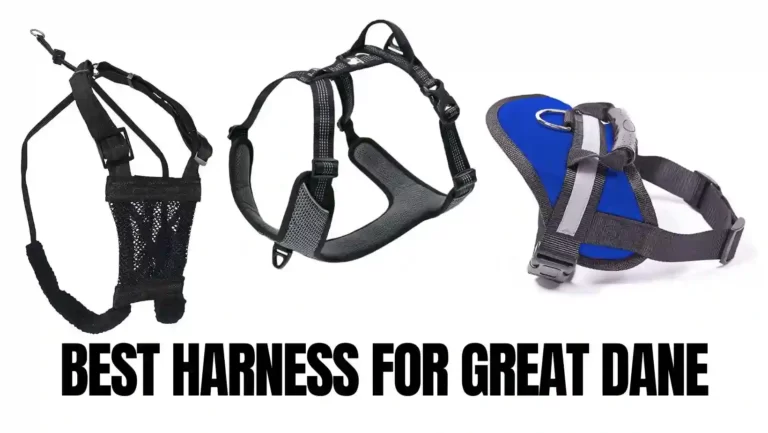 Top 10 Best Harness For Great Dane in 2023