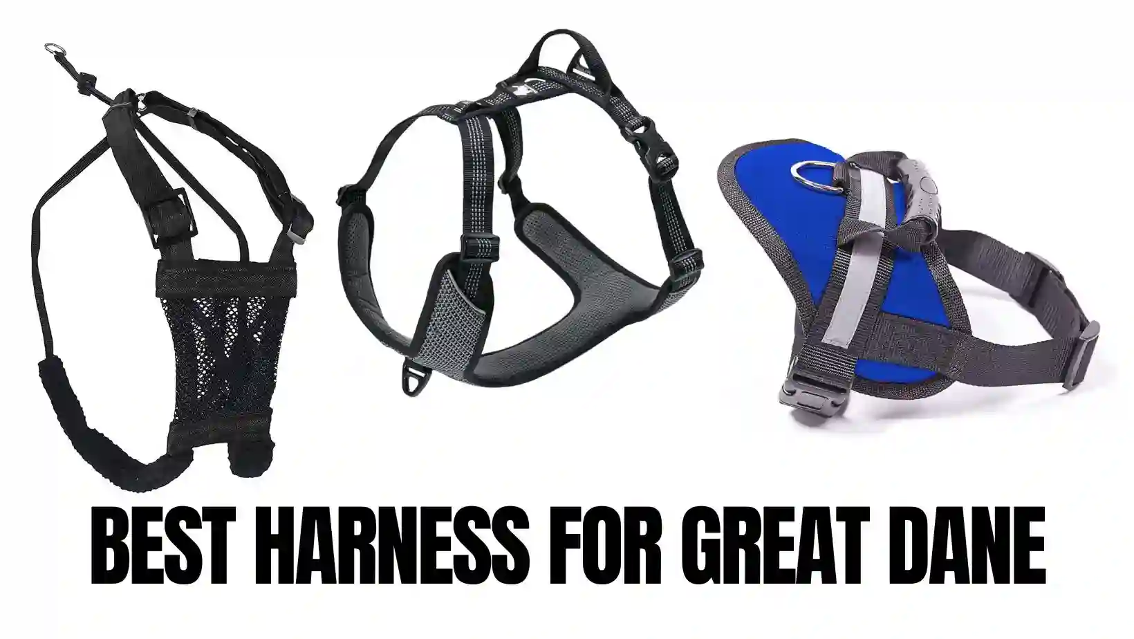 Best Harness For Great Dane