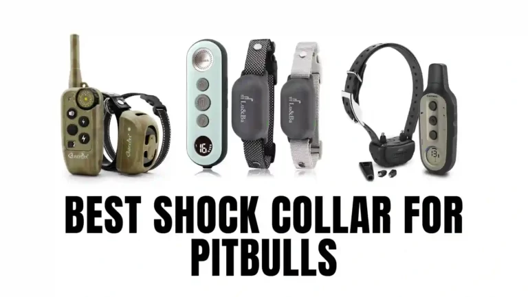 10 Best Shock Collar For Pitbulls in 2023
