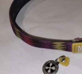 Max & Molly Smart ID Dog Collar, Neoprene Padded Dog Collar