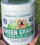 Best Dog Food to Prevent Lawn Burn