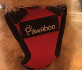 pawaboo images 1