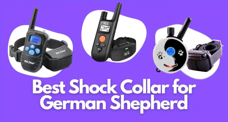 Top 10 Best Shock Collar for German Shepherd