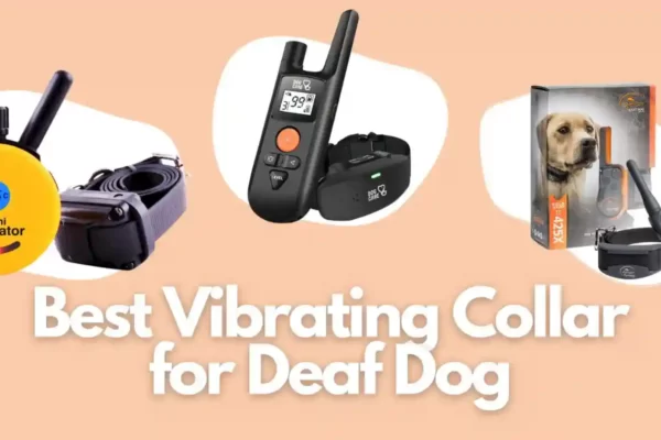 Best Vibrating Collar for Deaf Dog