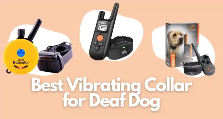 10 Best Vibrating Collars for Deaf Dog for 2023 | Research Based