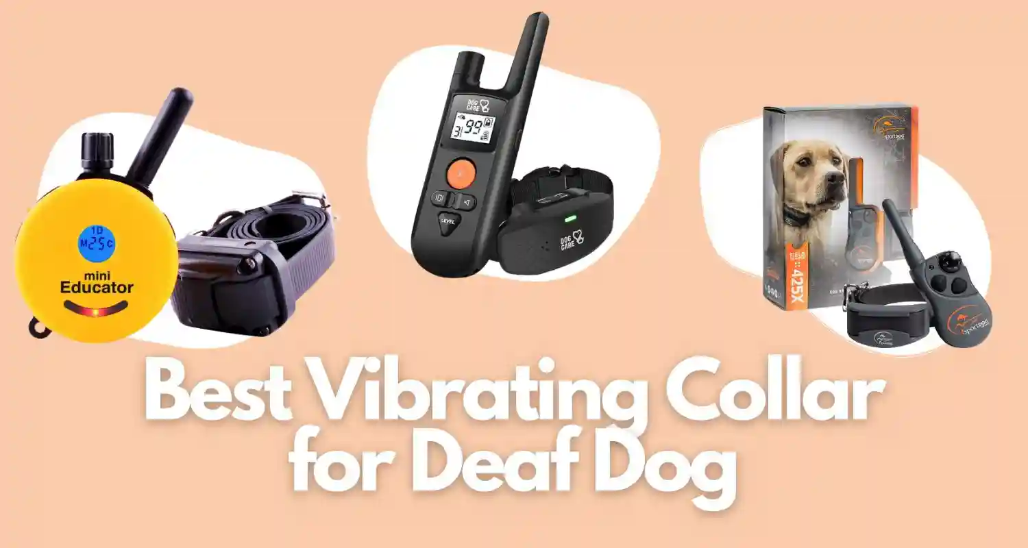 Best Vibrating Collar for Deaf Dog
