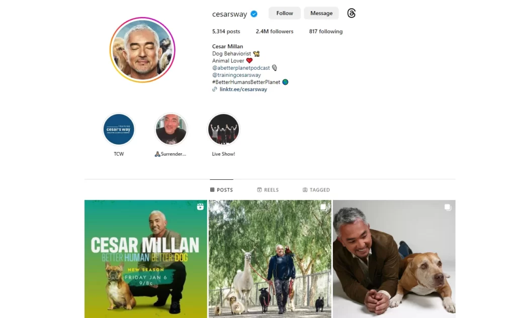 Screenshot of the Instagram profile of Cesar Millan (USA)