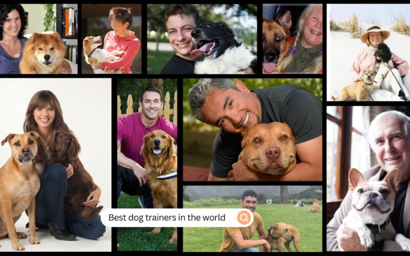 Famous & Best Dog Trainers In The World