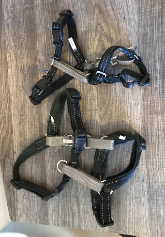 PetSafe 3 in 1 No-Pull Dog Harness 3
