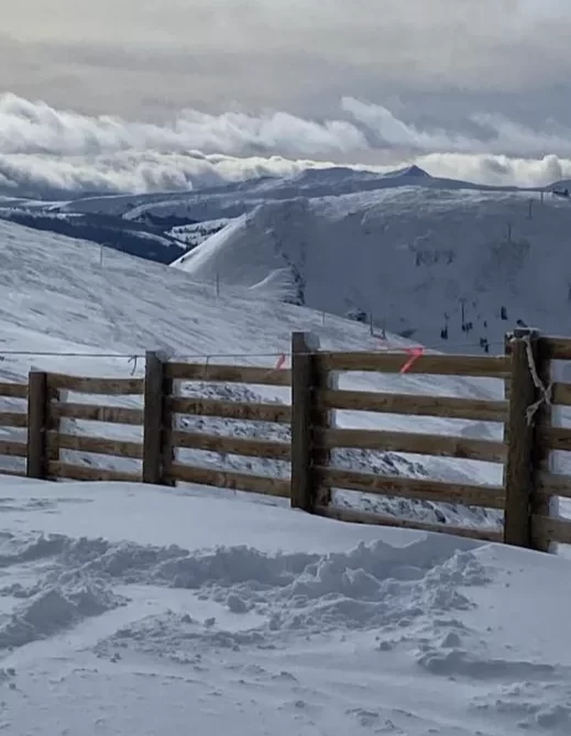 Snow fences