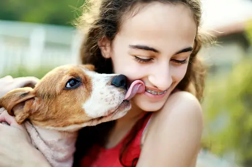 Ways to Get Rid of Dog-Licking Habit