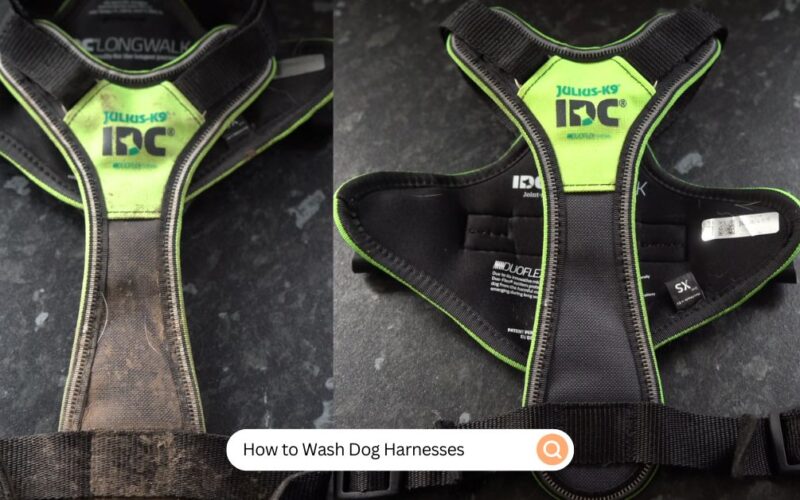 How to Wash Dog Harnesses