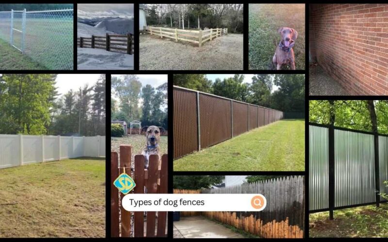 Types of dog fences