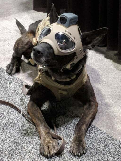 What is a Tactical Dog Harness (1)