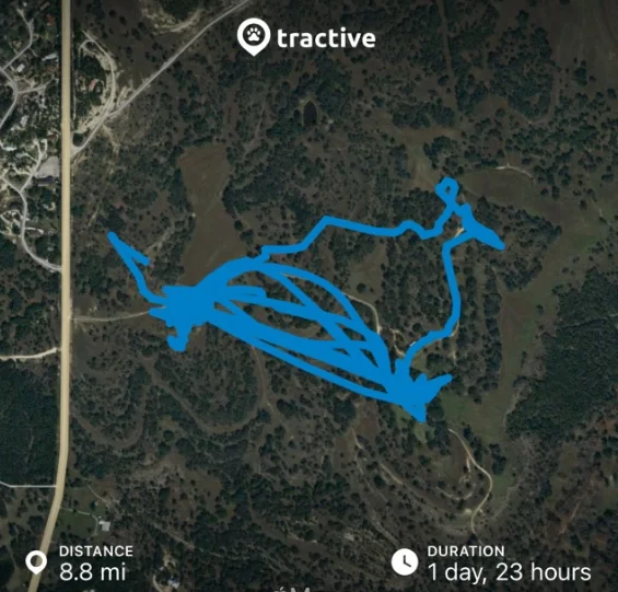 Tractive GPS Tracker