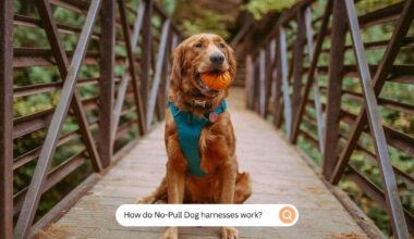 How do No-Pull Dog harnesses work?