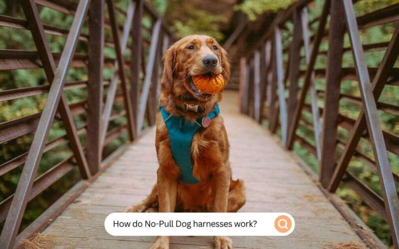 How do No-Pull Dog harnesses work?