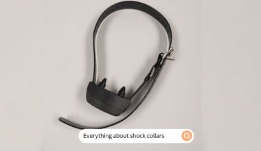 Shock Collars