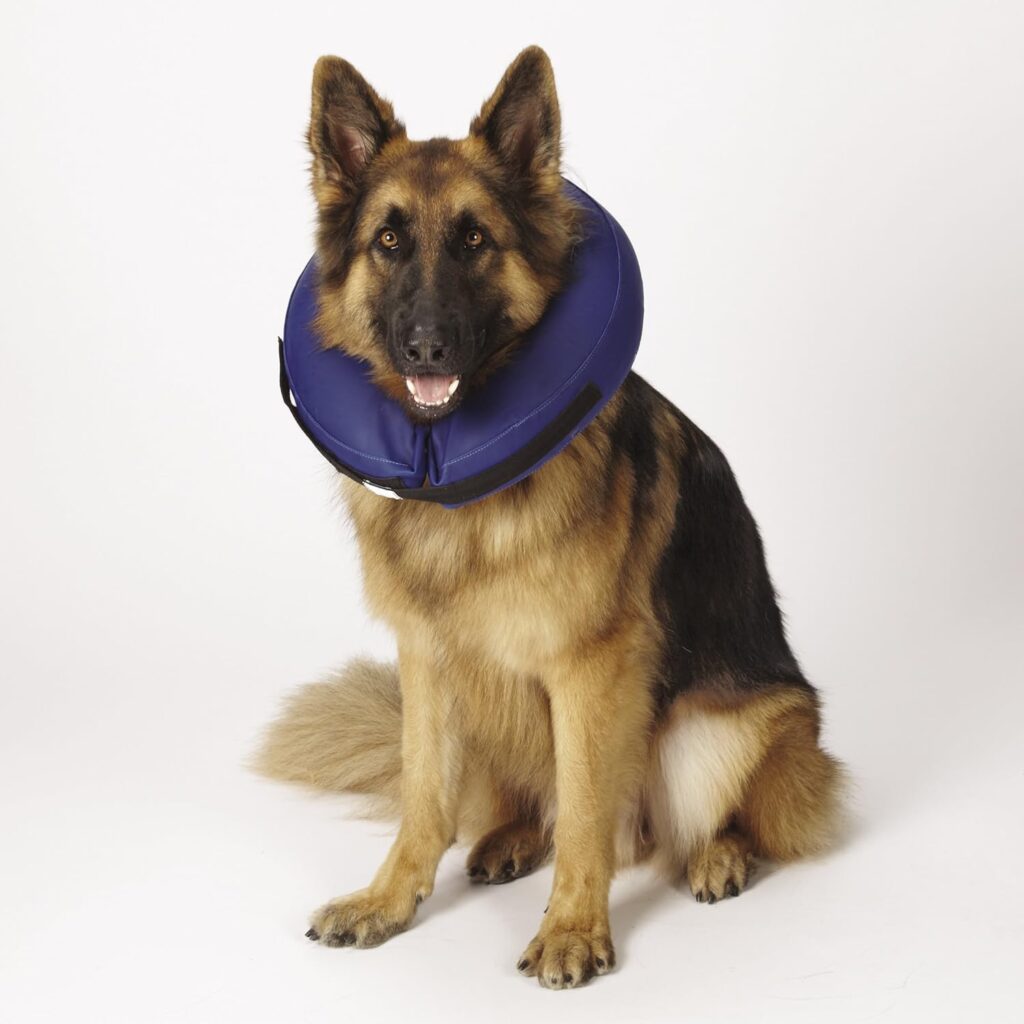 Total Pet Health Inflatable Dog Collars