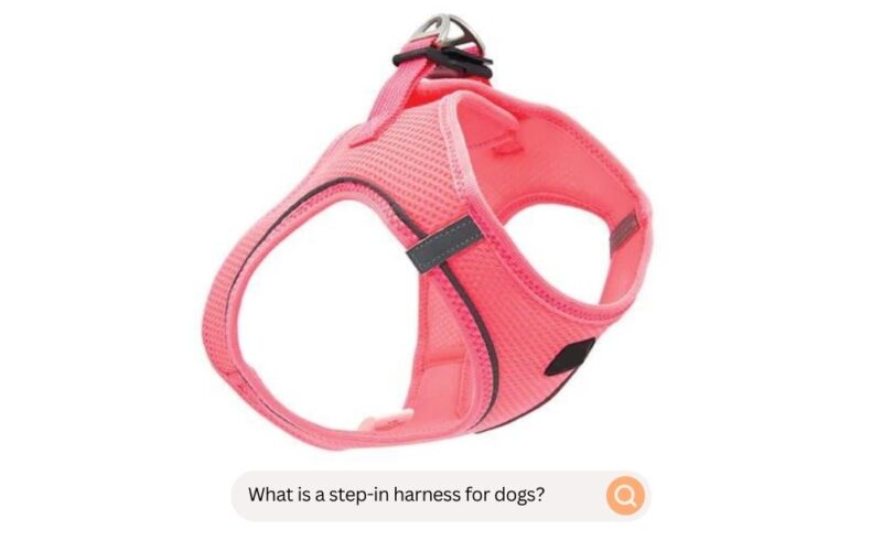 What Is A Step-In Harness For Dogs