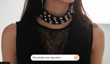 Why Do People Wear Dog Collars