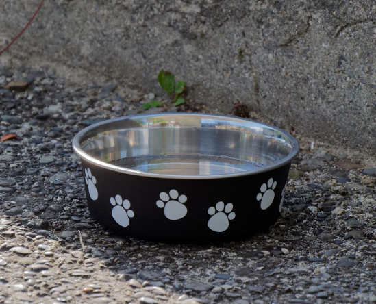 dog water bowl filled with less water