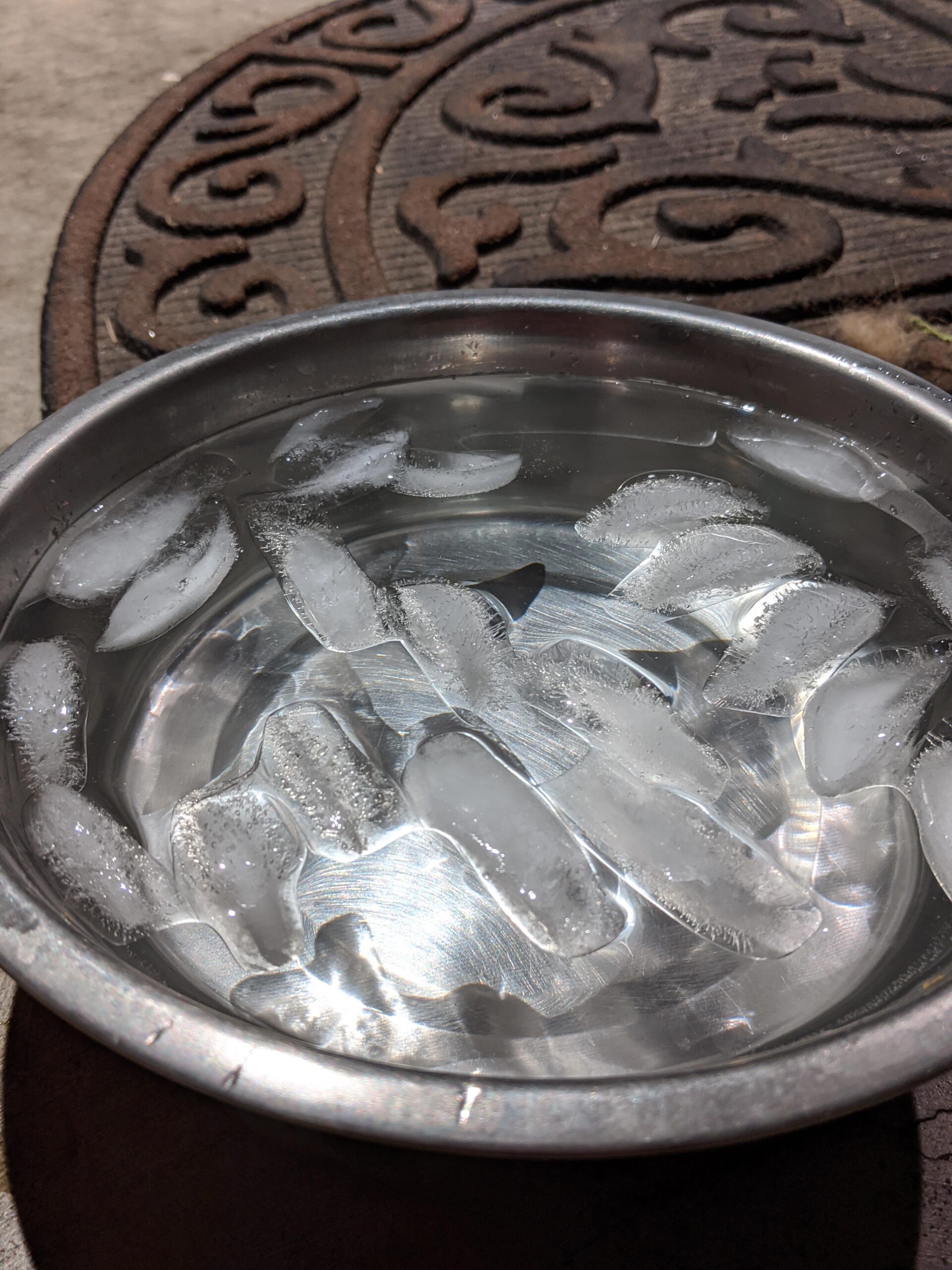ice cubes in dog water bowl